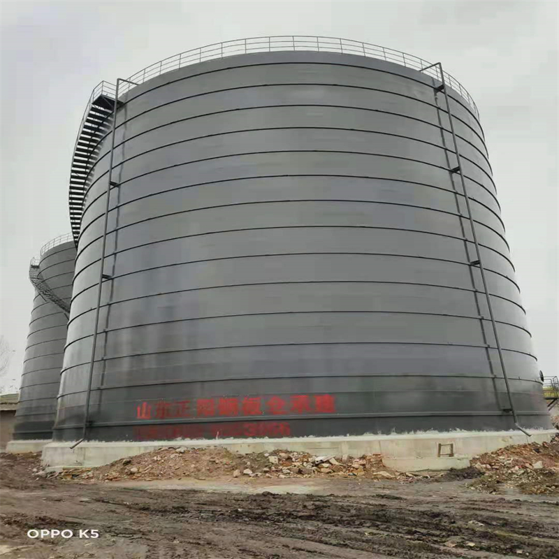 东明3万吨大型钢板库