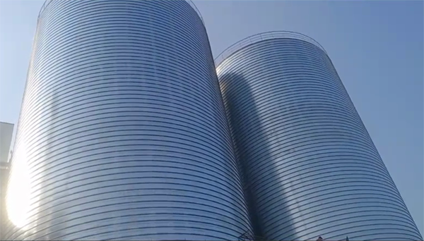 东明2座混凝土高架卷板仓